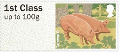 Pictorial Faststamps - Tamworth Pig.