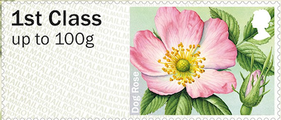 Faststamp illustrated with a Dog Rose.