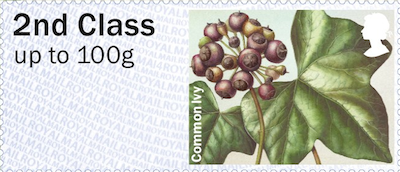 Common Ivy Faststamp.