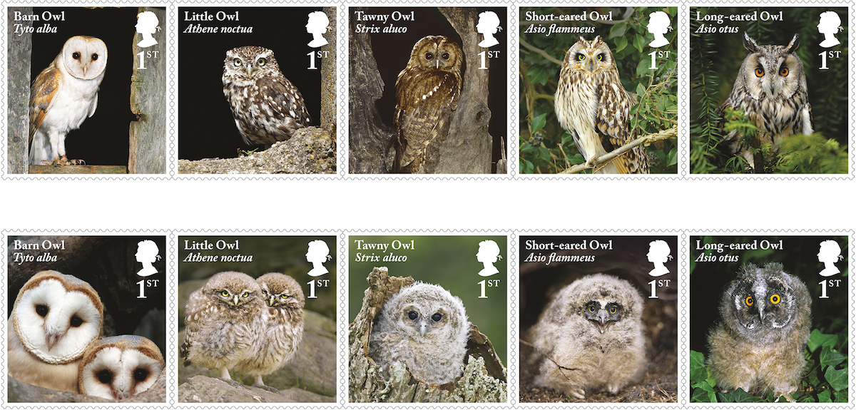 Set of 10 stamps showing 5 species of adult and juvenile owls..